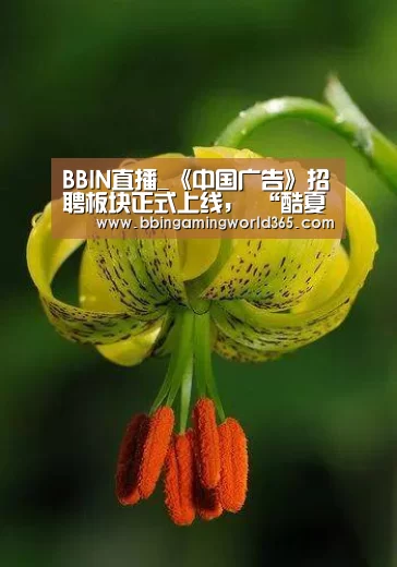 BBIN直播