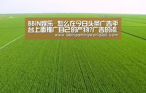 BBIN娱乐-怎么在今日头条广告平台上面推广自己的产物?广告的流程是怎样的?(图1) BBIN直播