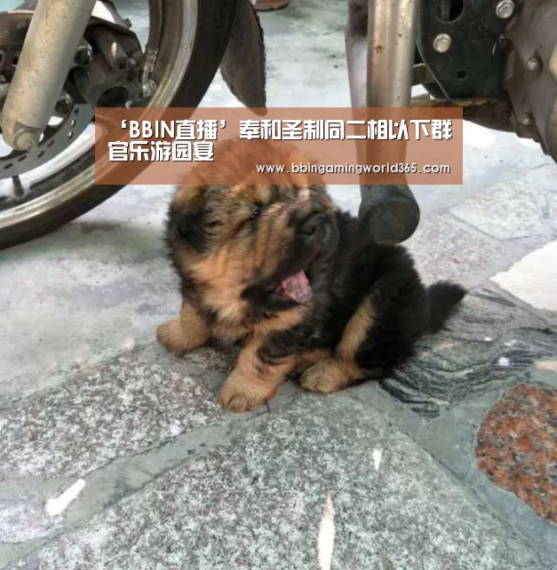 ‘BBIN直播’奉和圣制同二相以下群官乐游园宴(图1) BBIN赛事