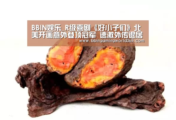 BBIN赛事